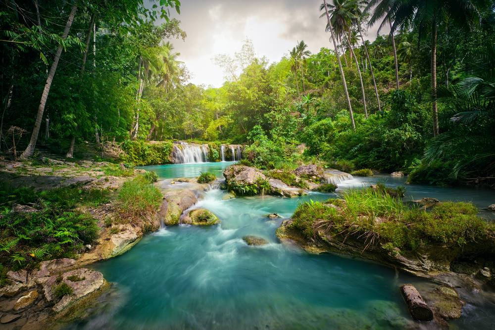 Deep Forest Waterfall
