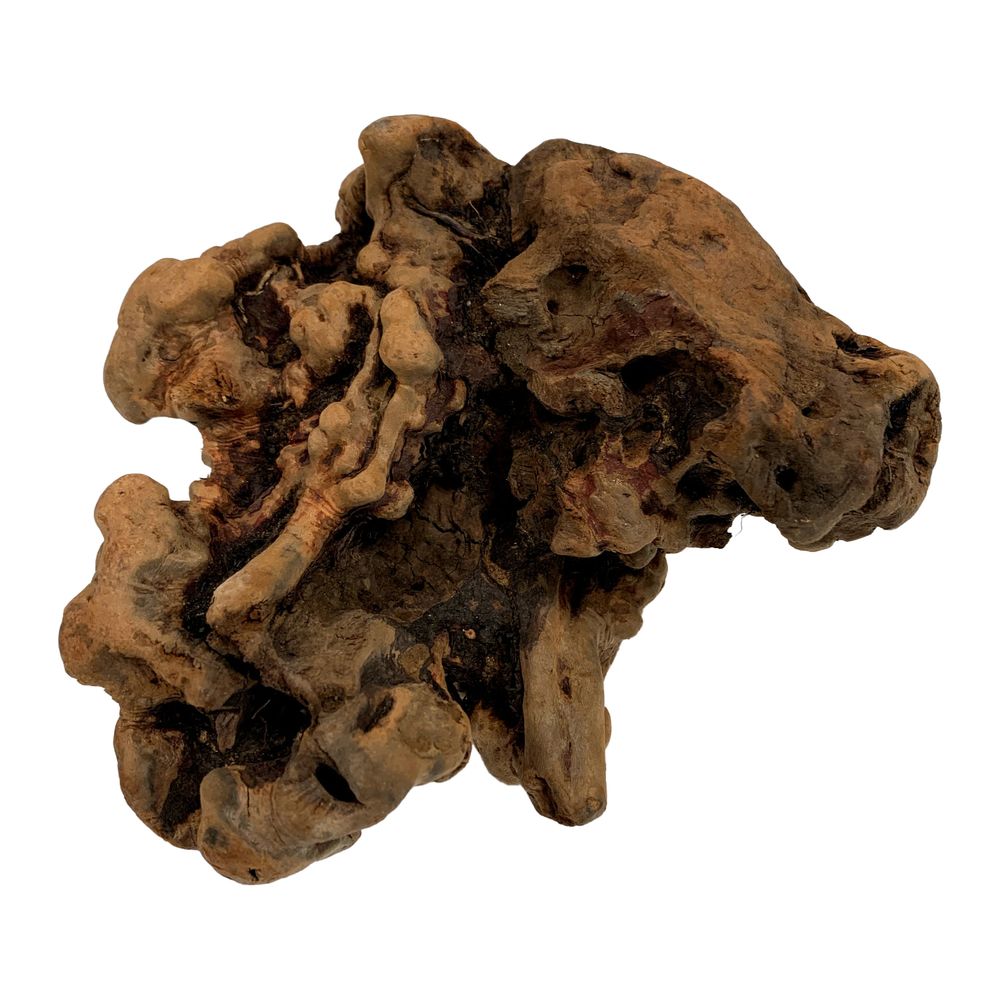 Manzanita Roots - Image 2