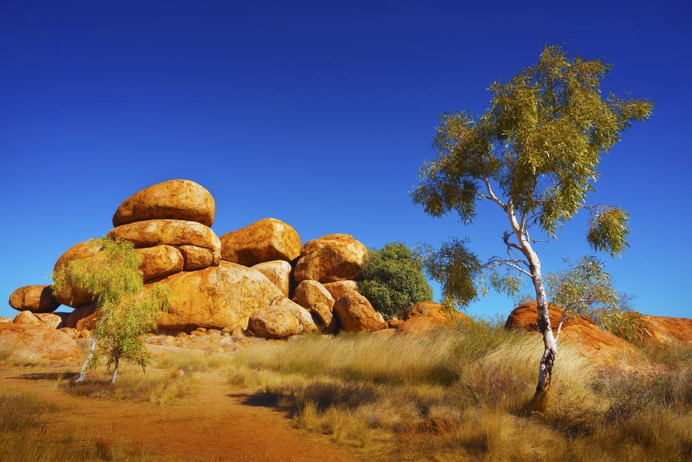 Australian Outback
