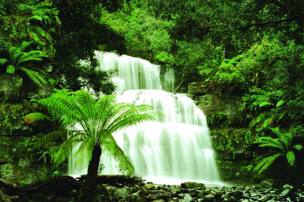 Tropical Waterfall