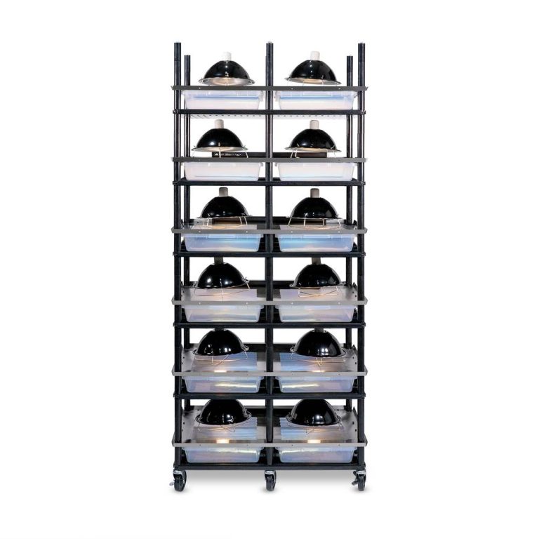 Vision Slotted Stainless Steel Reptile Versa-Rack - High Profile ...