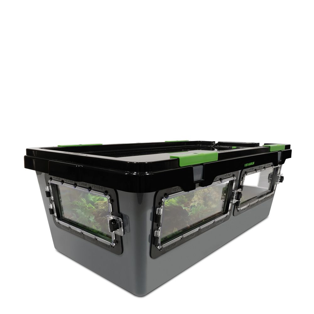 Angle view of a single V-70 2x Visionarium reptile enclosure with four doors on three sides