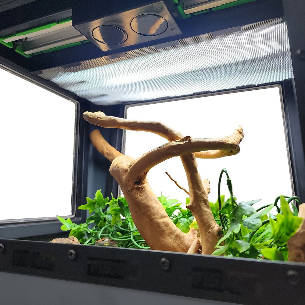 interior view of a Visionarium reptile enclosure with natural decor and lighting