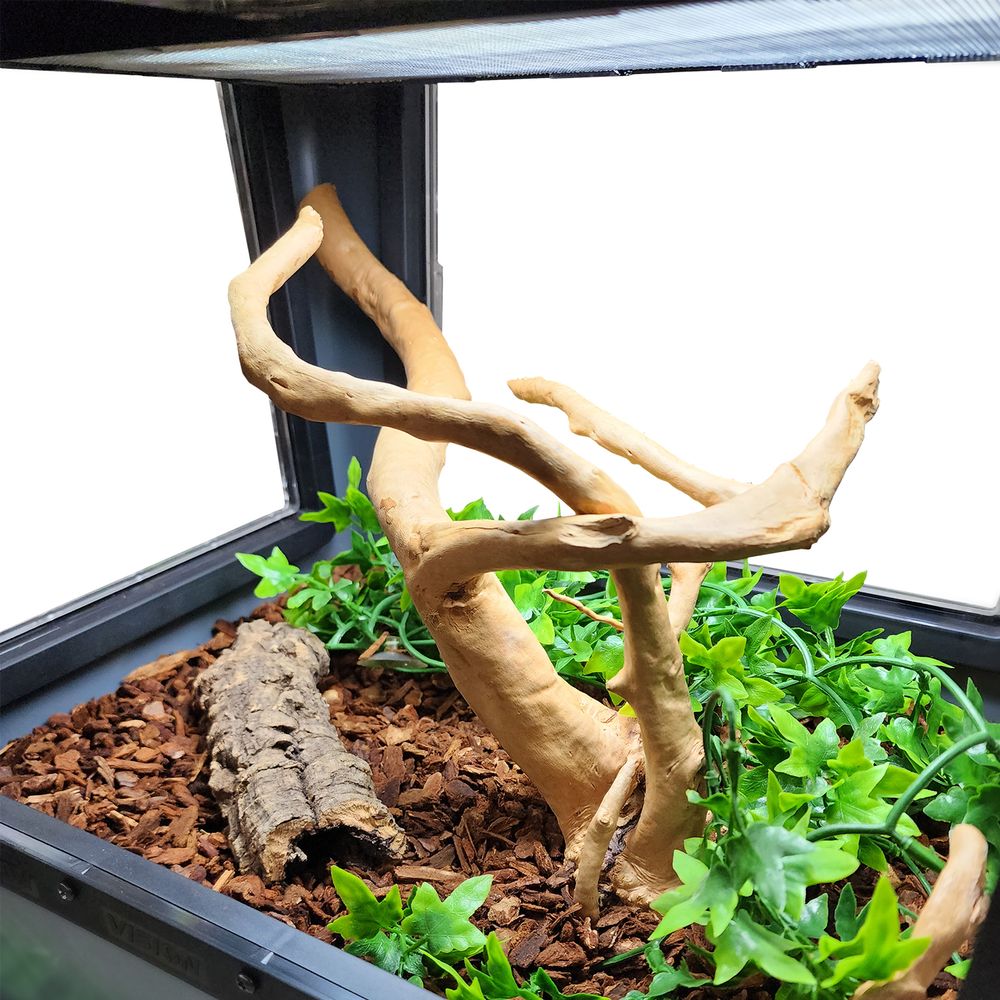 inside a visionarium reptile enclosure with substrate and decor