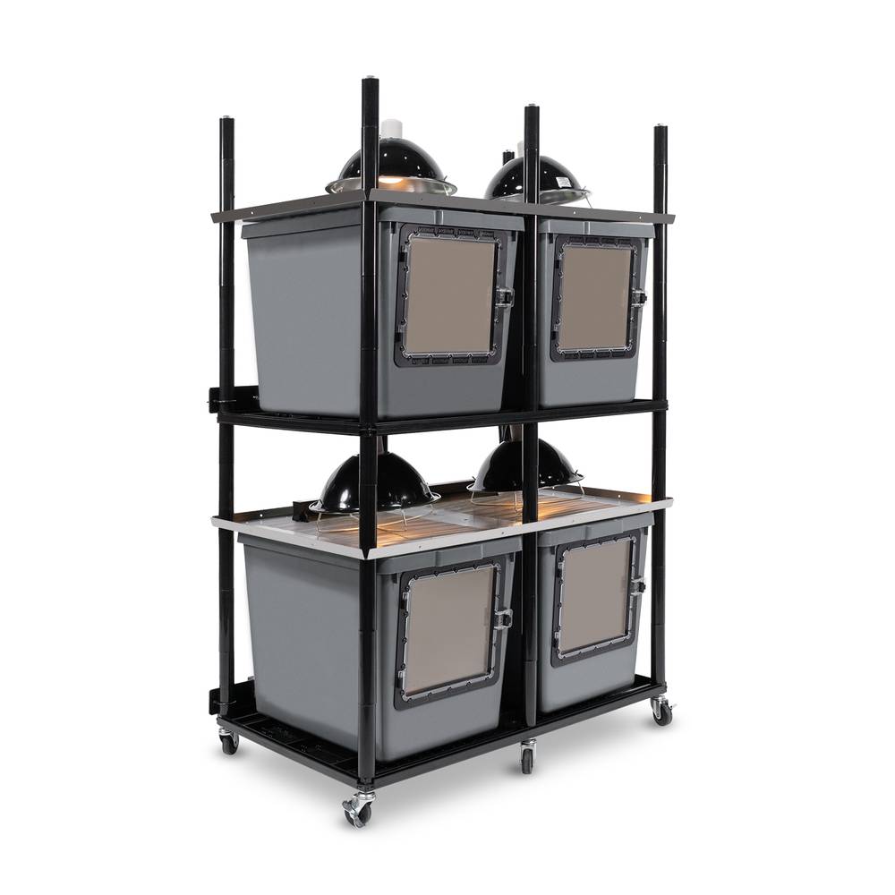 Vision Slotted Stainless Steel Reptile Versa-Rack High Profile Lighting 2 Sections V-35-3X Gray Tubs with Access Door on Short Side
